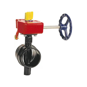 Tontr 10 dalam Grooved Butterfly Valve dengan Gear Operation FM/UL Disetujui